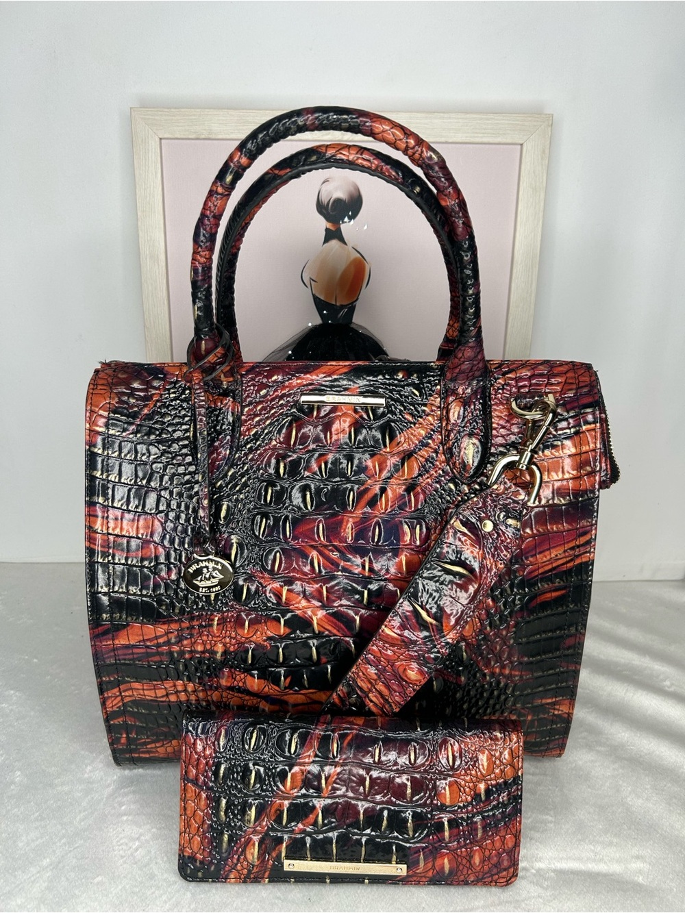 Brahmin Caroline Spice Melbourne Satchel & Ady Wallet - Picture 2 of 16